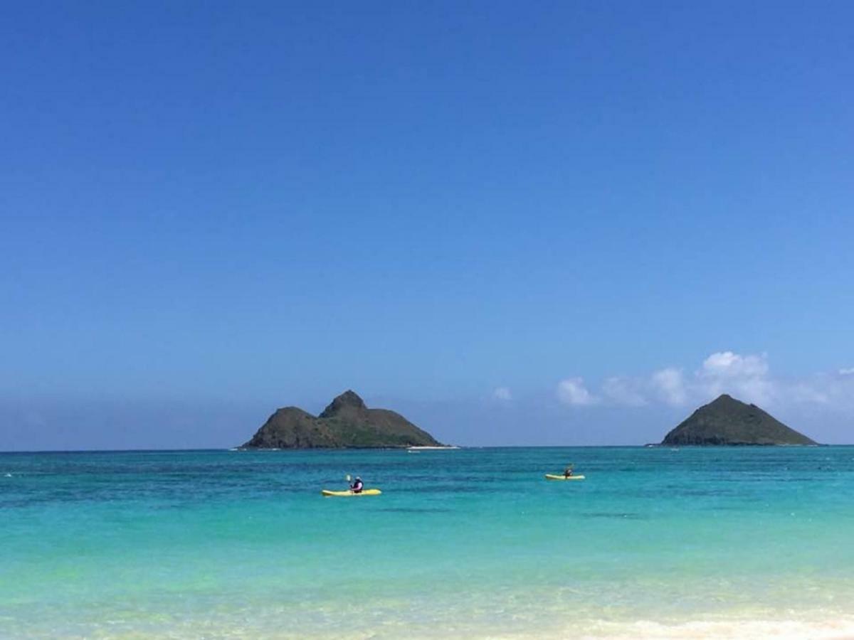 Lovely Relaxing Lanikai Studio, Legal Vacation Rental Kailua Exterior foto